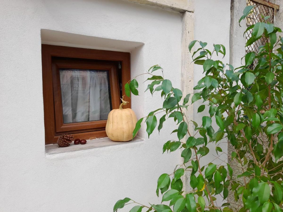 In Vino Veritas Sulmona Eksteriør bilde